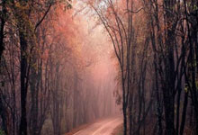 新疆男篮拒绝爆冷！全力淘汰南京同曦，赵睿确定出战，央视直播.