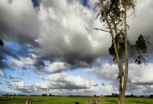 韩国vs阿曼：孙兴慜领衔，李在城、黄喜灿出战，李刚仁替补.