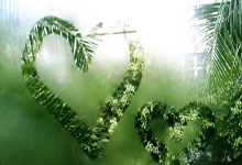 虎扑：[高尔夫]中国排名：白政恺上升600多位 李昊桐领先中国军团.