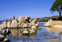 里昂后卫：曼联是足坛历史最佳之一，踢球就是为踢这种重量级对决.